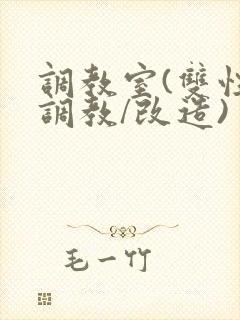 调教室(双性/调教/改造)
