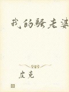 我的骚老婆小说