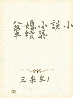 公媳小说小玲建军续集