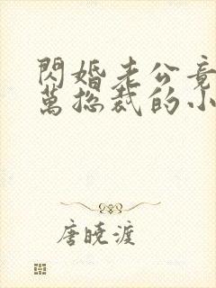 闪婚老公竟是亿万总裁的小说