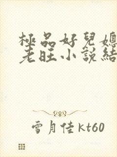 极品好儿媳秦雨老旺小说结局