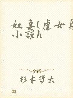 奴妻(虐女身)小说h