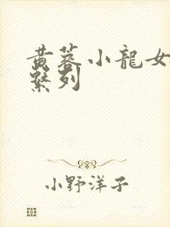 黄蓉小龙女h文系列