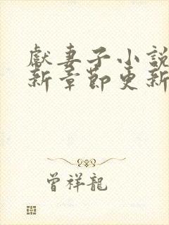 献妻子小说 最新章节更新