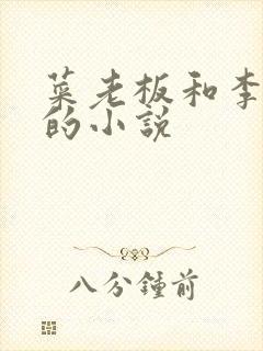 菜老板和李芷珊的小说封面