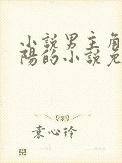 小说男主角叫萧阳的小说免费阅读封面