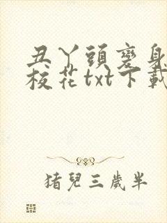 丑丫头变身美女校花txt下载封面