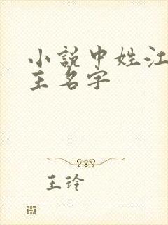 小说中姓江的女主名字