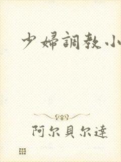 少妇调教小说h