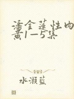 潘金莲性肉欲全黄1—5集封面