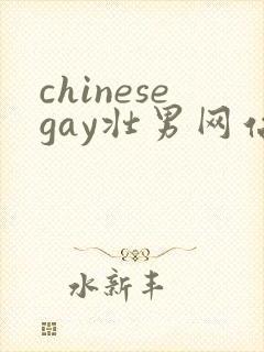 chinesegay壮男网站gvmanvideos封面