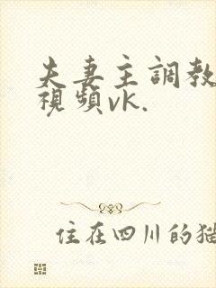 夫妻主调教狗奴视频vk.封面