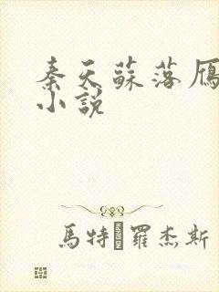 秦天苏落雁张池小说封面