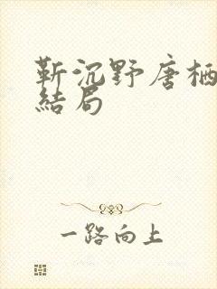 靳沉野唐栖雾大结局