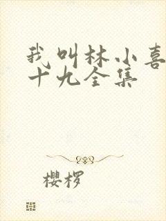 我叫林小喜今年十九全集