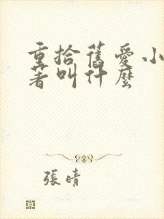 重拾旧爱小说原著叫什么