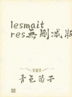 lesmaitres无删减版在线播放