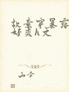 故意穿暴露被强好爽h文封面