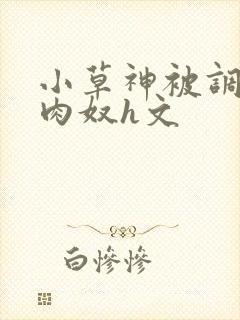 小草神被调教成肉奴h文封面