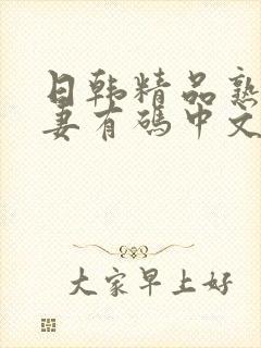 日韩精品熟女人妻有码中文字幕在线