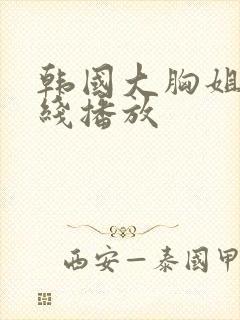 韩国大胸姐姐在线播放