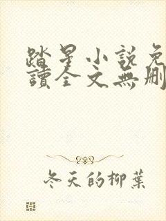 踏星小说免费阅读全文无删减封面