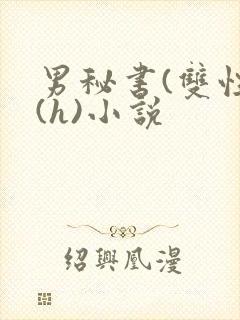 男秘书(双性)(h)小说