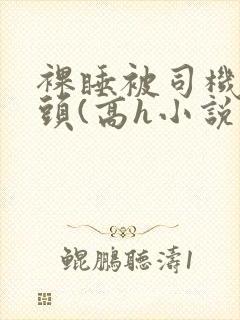 裸睡被司机玩奶头(高h小说