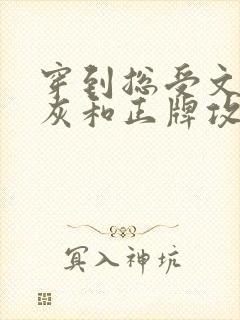 穿到总受文的炮灰和正牌攻封面