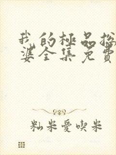 我的极品总裁老婆全集免费