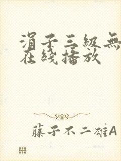 涓子三级无删减在线播放封面