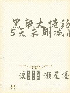 黑帮大佬的365天未删减版