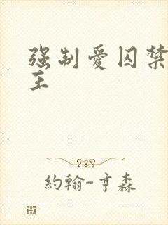 强制爱囚禁双男主