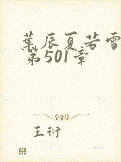 叶辰夏若雪孙怡 第501章