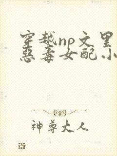 穿越np文里的恶毒女配小说封面