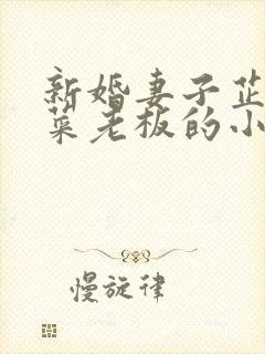 新婚妻子芷姗与菜老板的小说封面