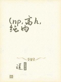 (np,高h,纯肉