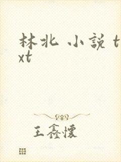 林北 小说 txt