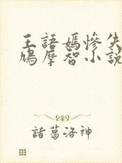 王语嫣惨失出身鸠摩智小说第七章封面