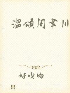 温颂周聿川小说封面