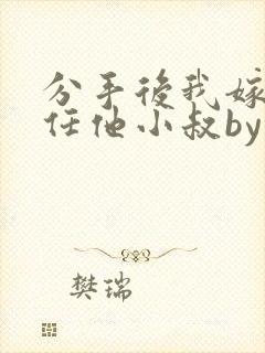 分手后我嫁给前任他小叔by封面