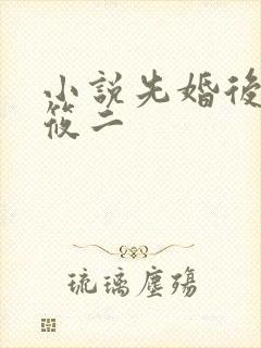 小说先婚后爱梦筱二封面