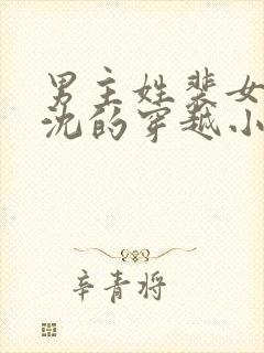 男主姓裴女主姓沈的穿越小说