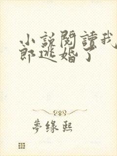 小说阅读我的新郎逃婚了