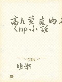 高h荤爽肉欲文〈np小说
