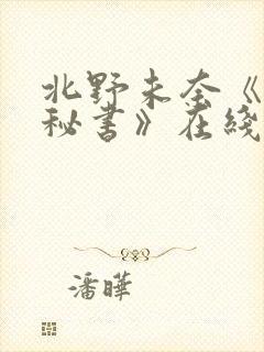 北野未奈《巨乳秘书》在线