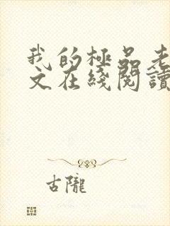 我的极品老婆全文在线阅读