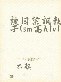 被囚禁调教的日子(sm高h1v1)