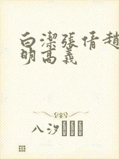 白洁张倩赵敏李明高义封面