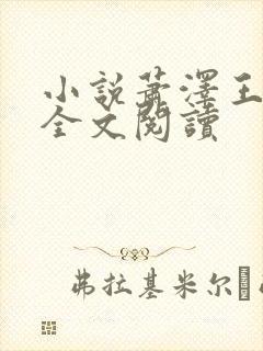 小说萧泽王雪凤全文阅读